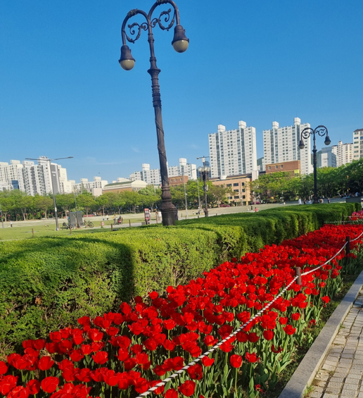 프로필사진