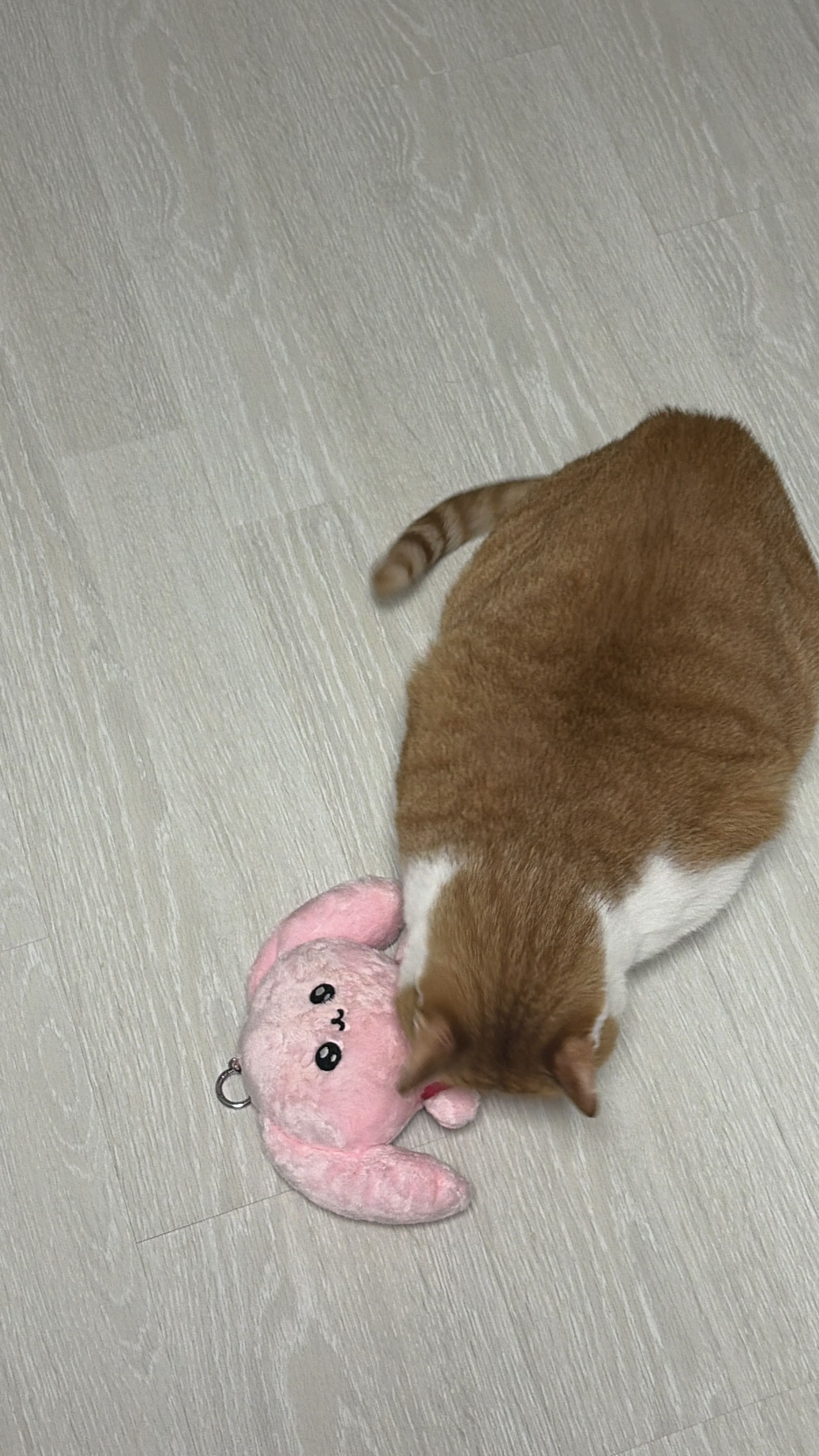 프로필사진