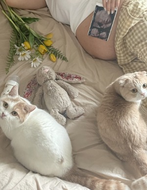 블로그 이미지