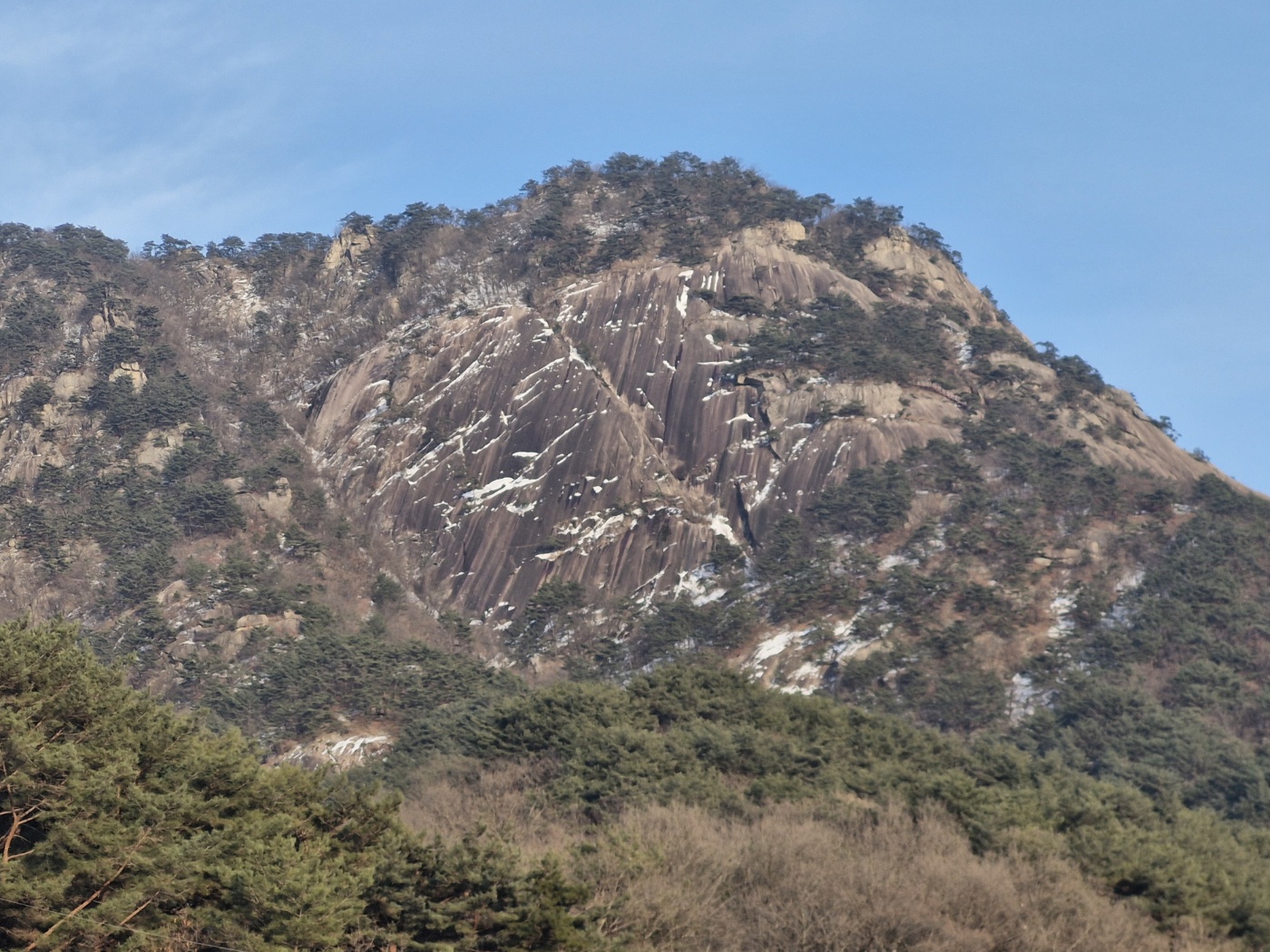 프로필사진