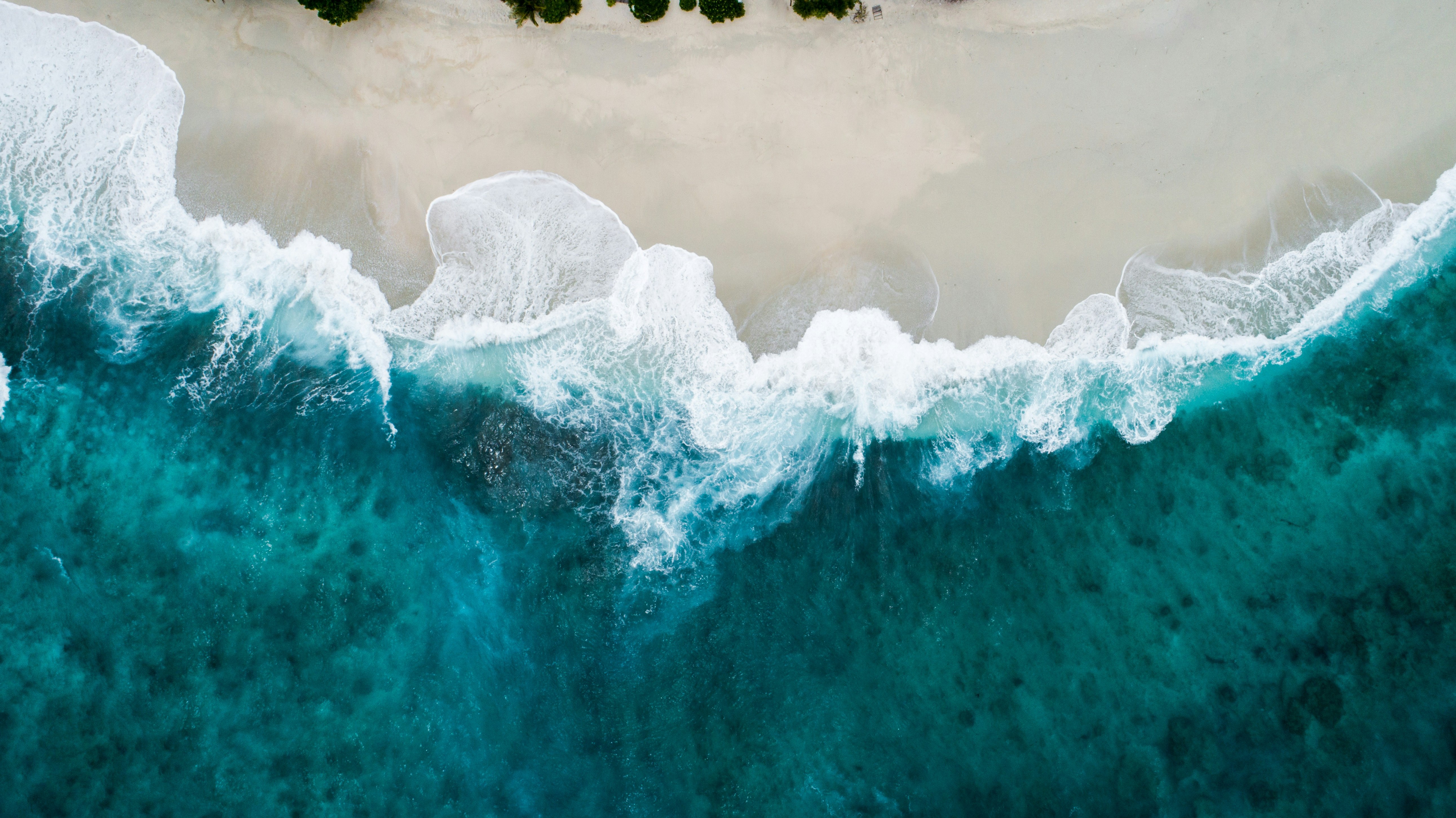 header-img