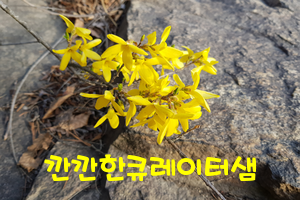 네이버 블로그 배너