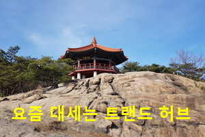 워드프레스 배너