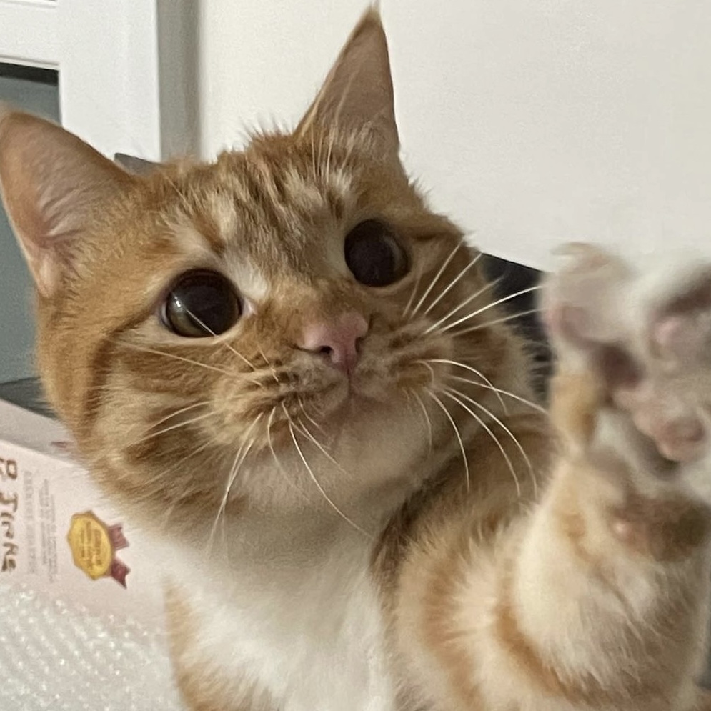 블로그 이미지