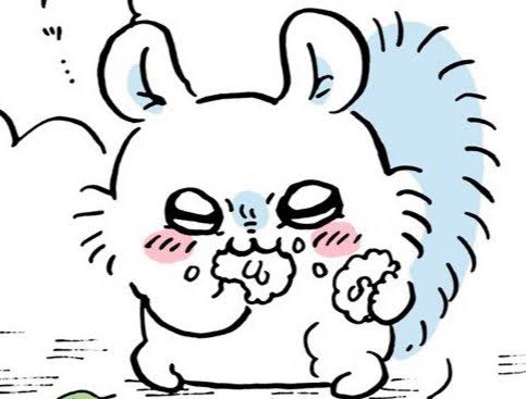 프로필사진
