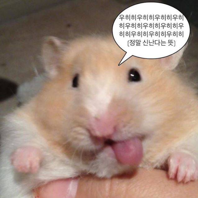 프로필사진