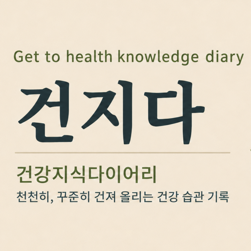 프로필사진