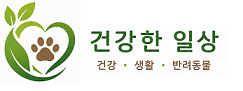건강한 일상 정보