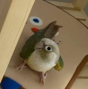 블로그 이미지