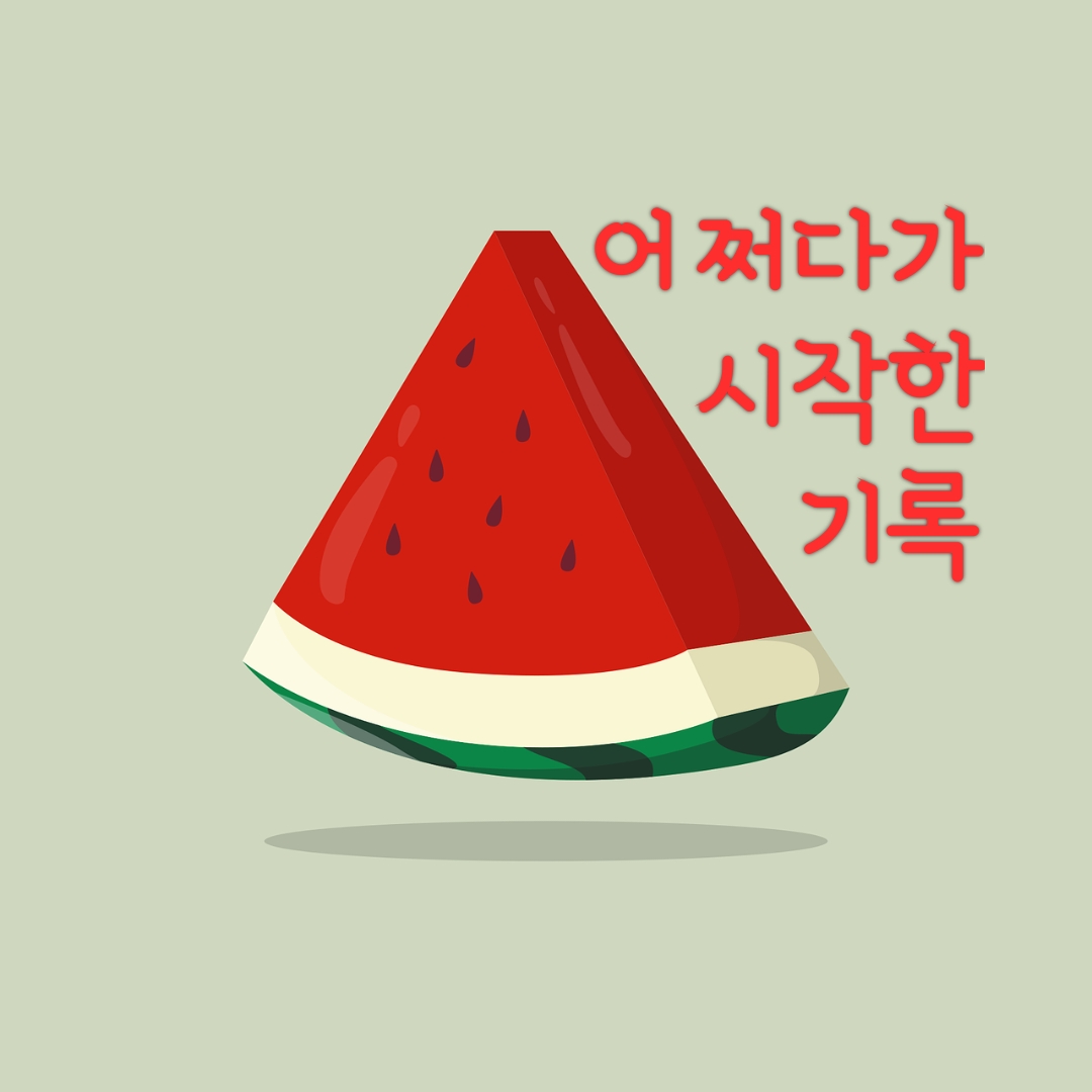프로필사진