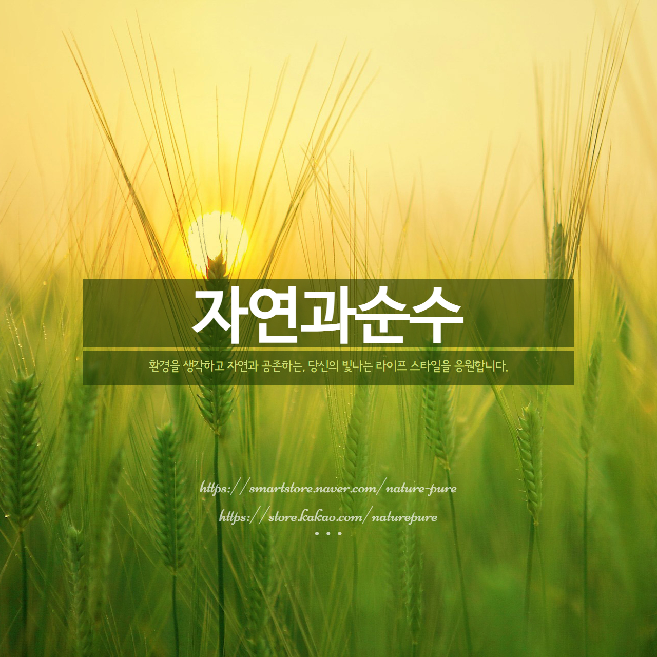 프로필사진