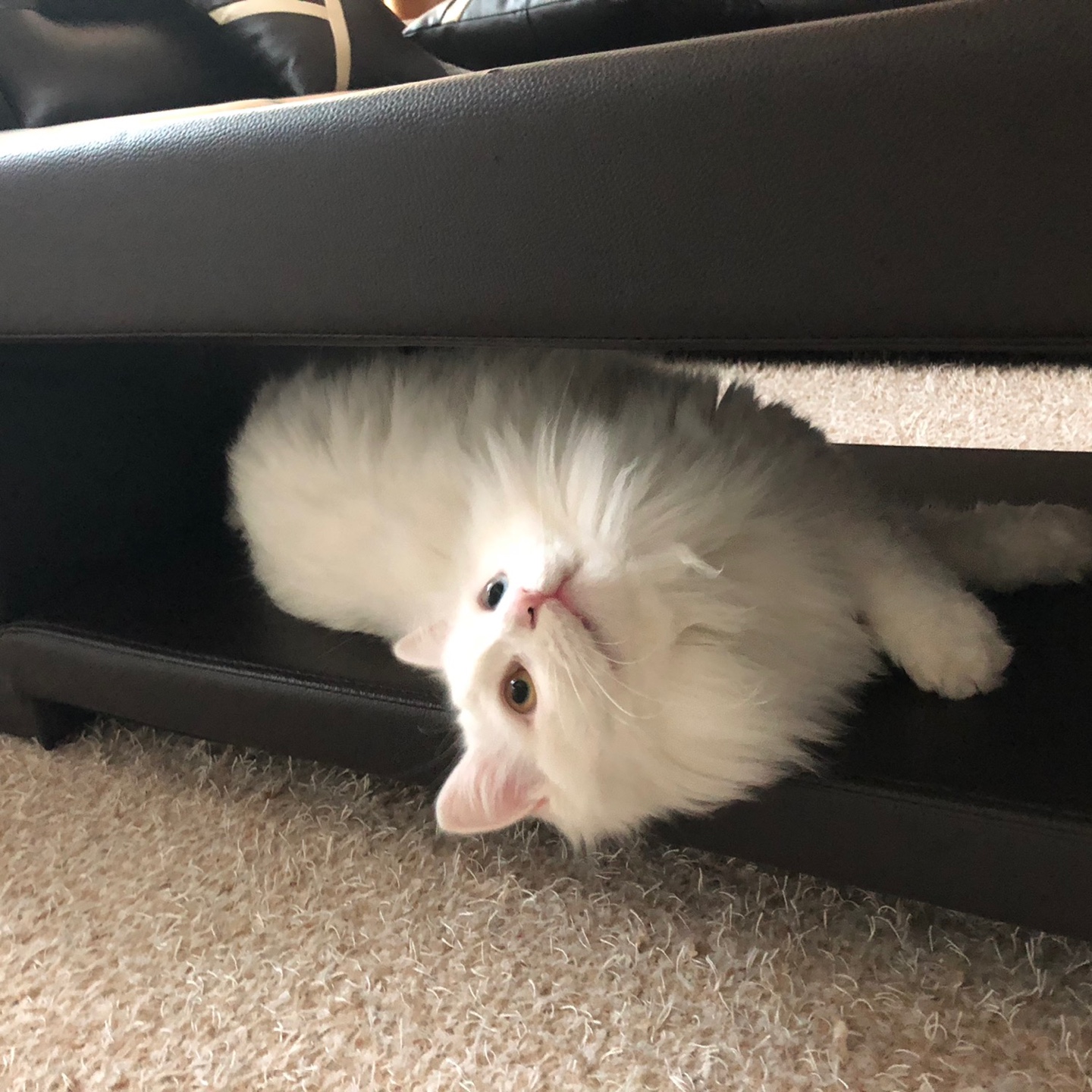 프로필사진
