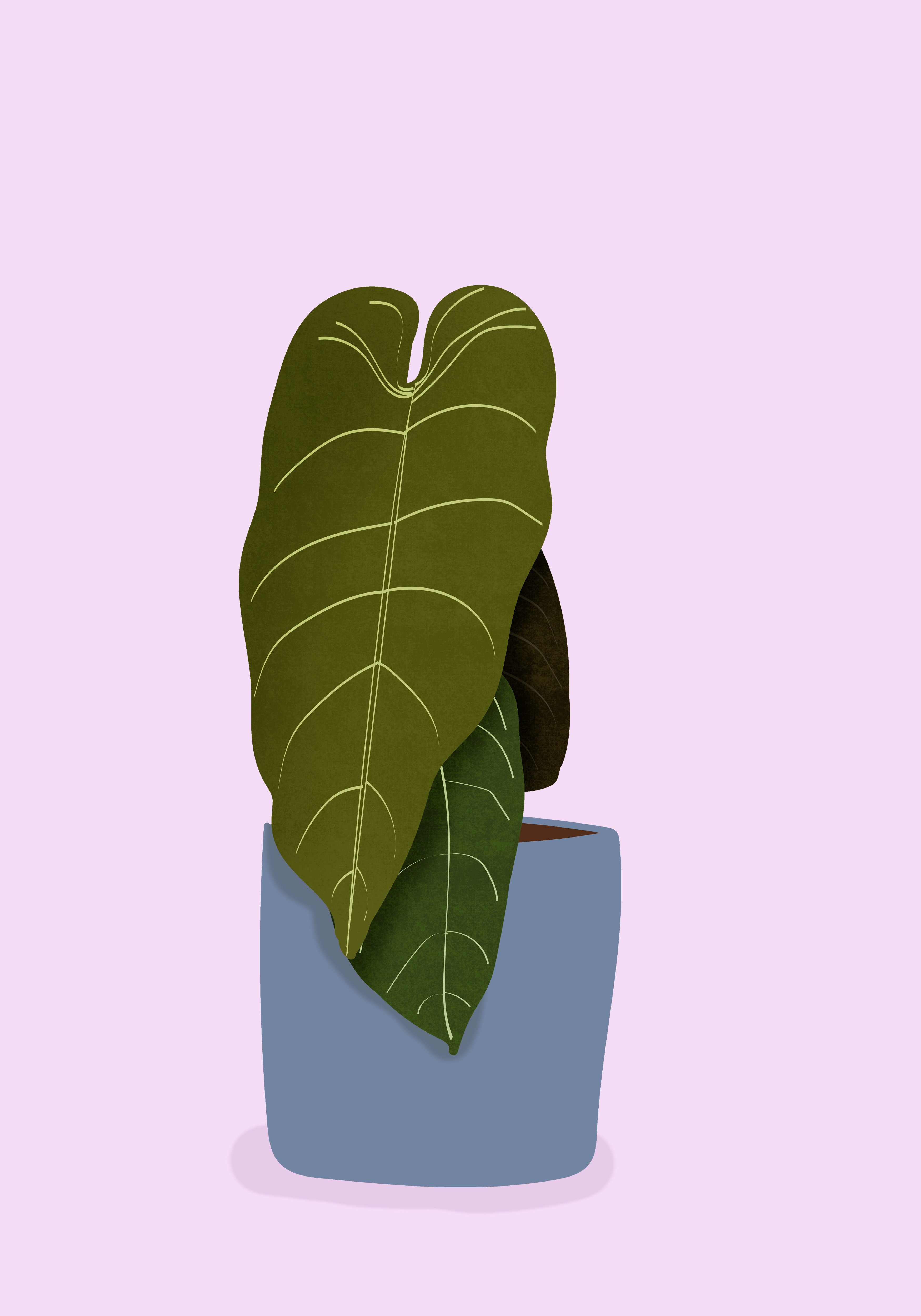 프로필사진