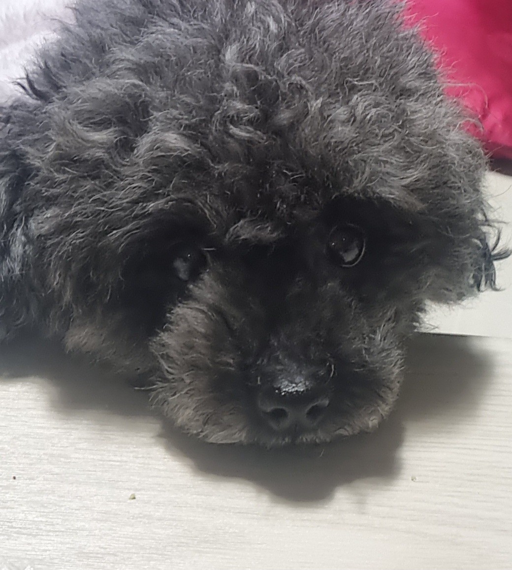 블로그 이미지