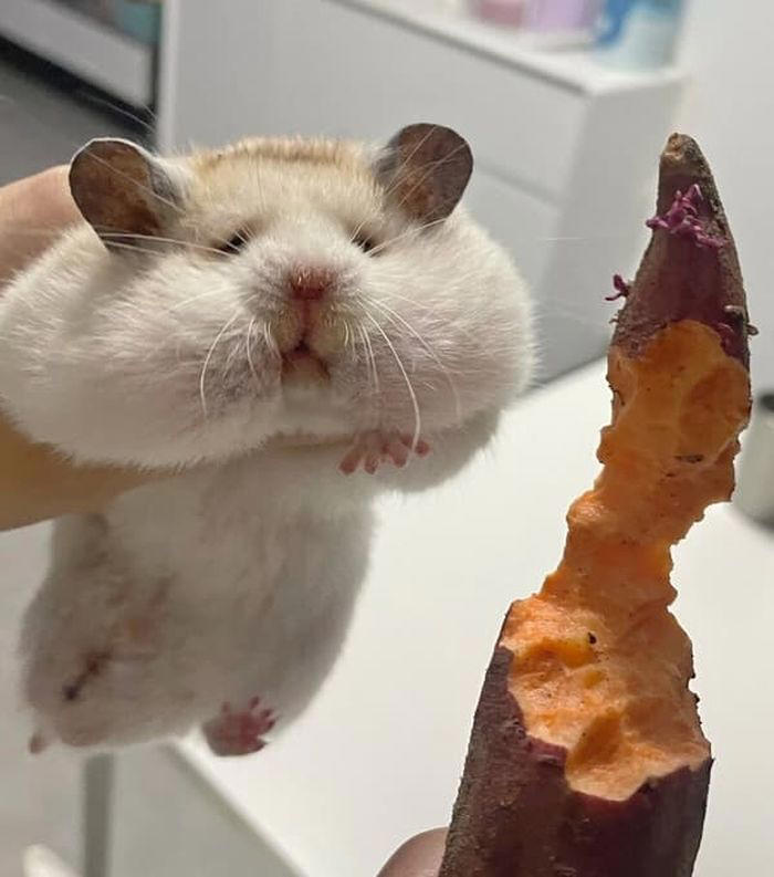 프로필사진