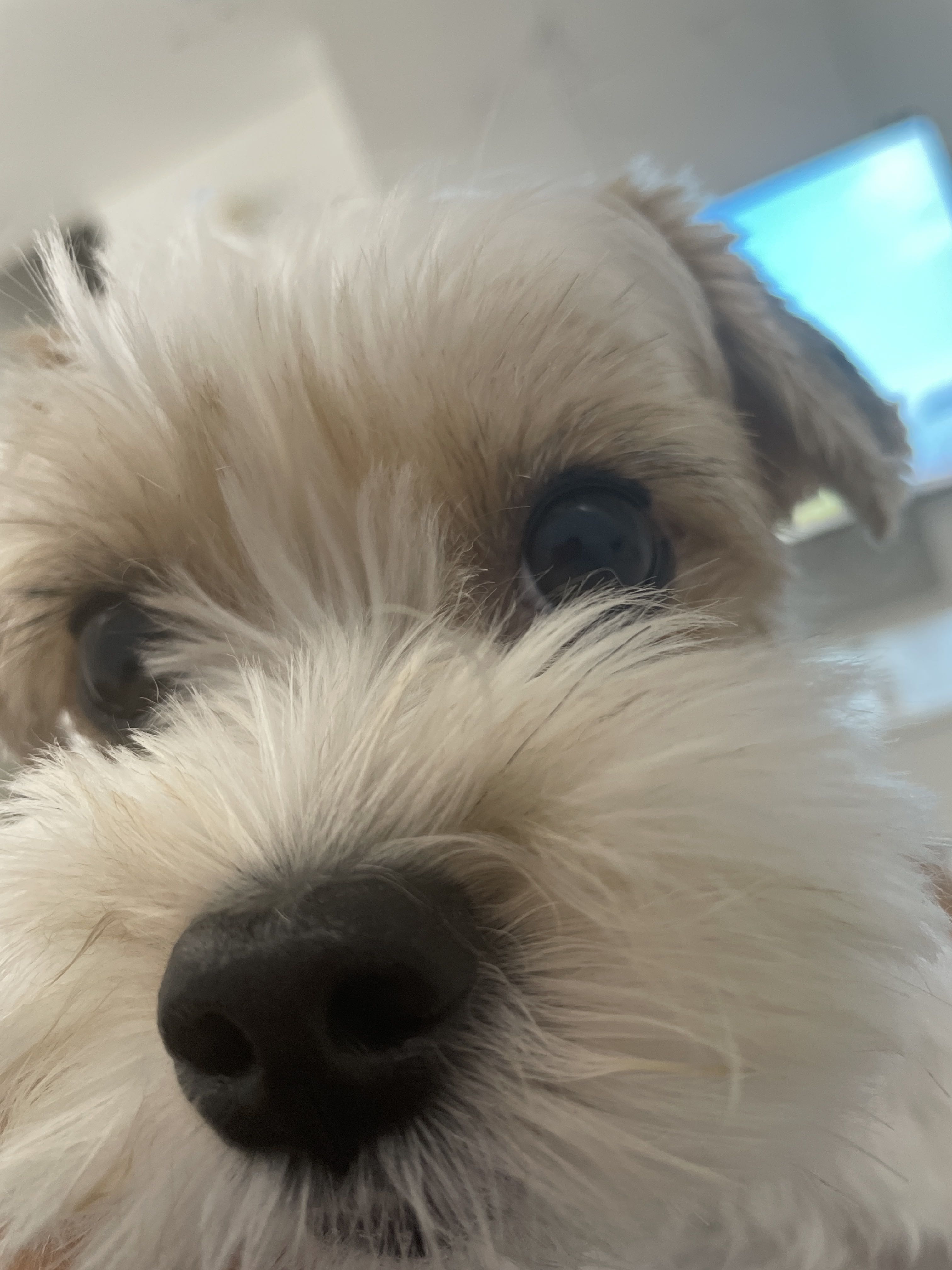 프로필사진