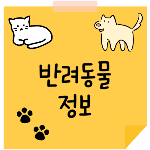 프로필사진