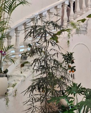 프로필사진