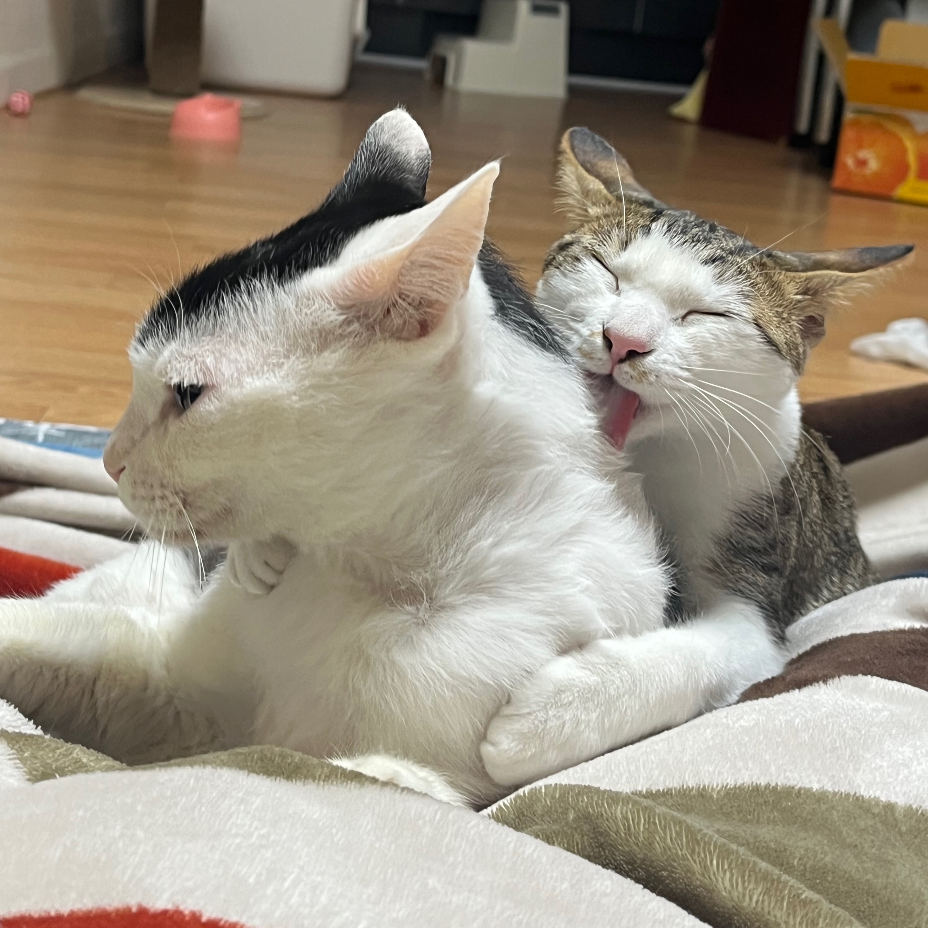 프로필사진