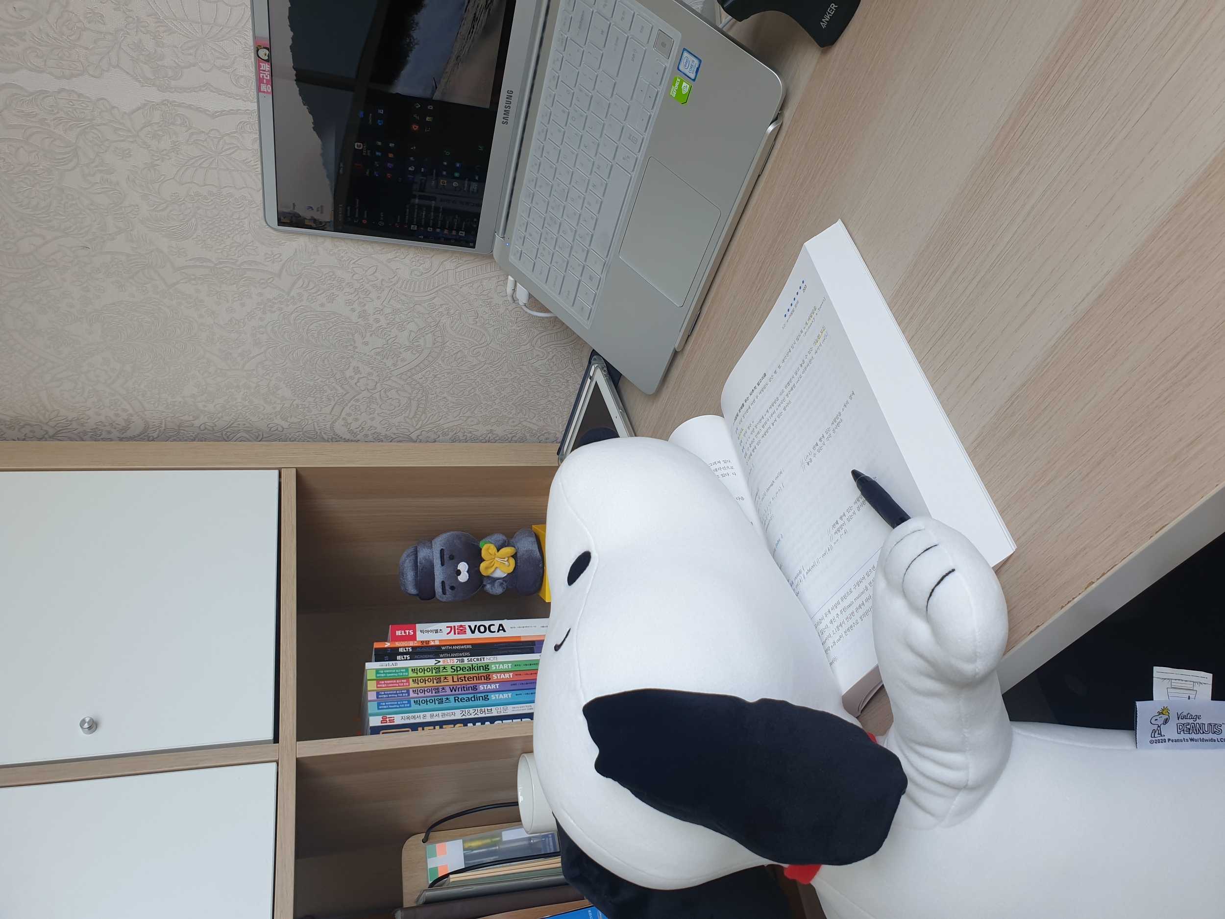 프로필사진