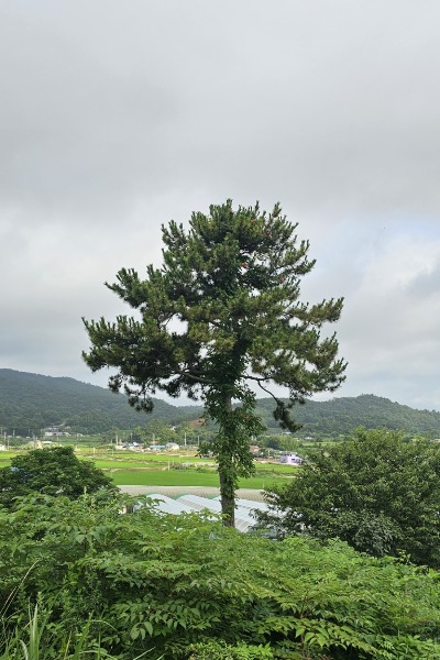 블로그 이미지