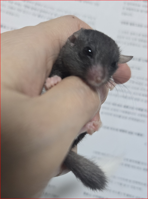 블로그 이미지