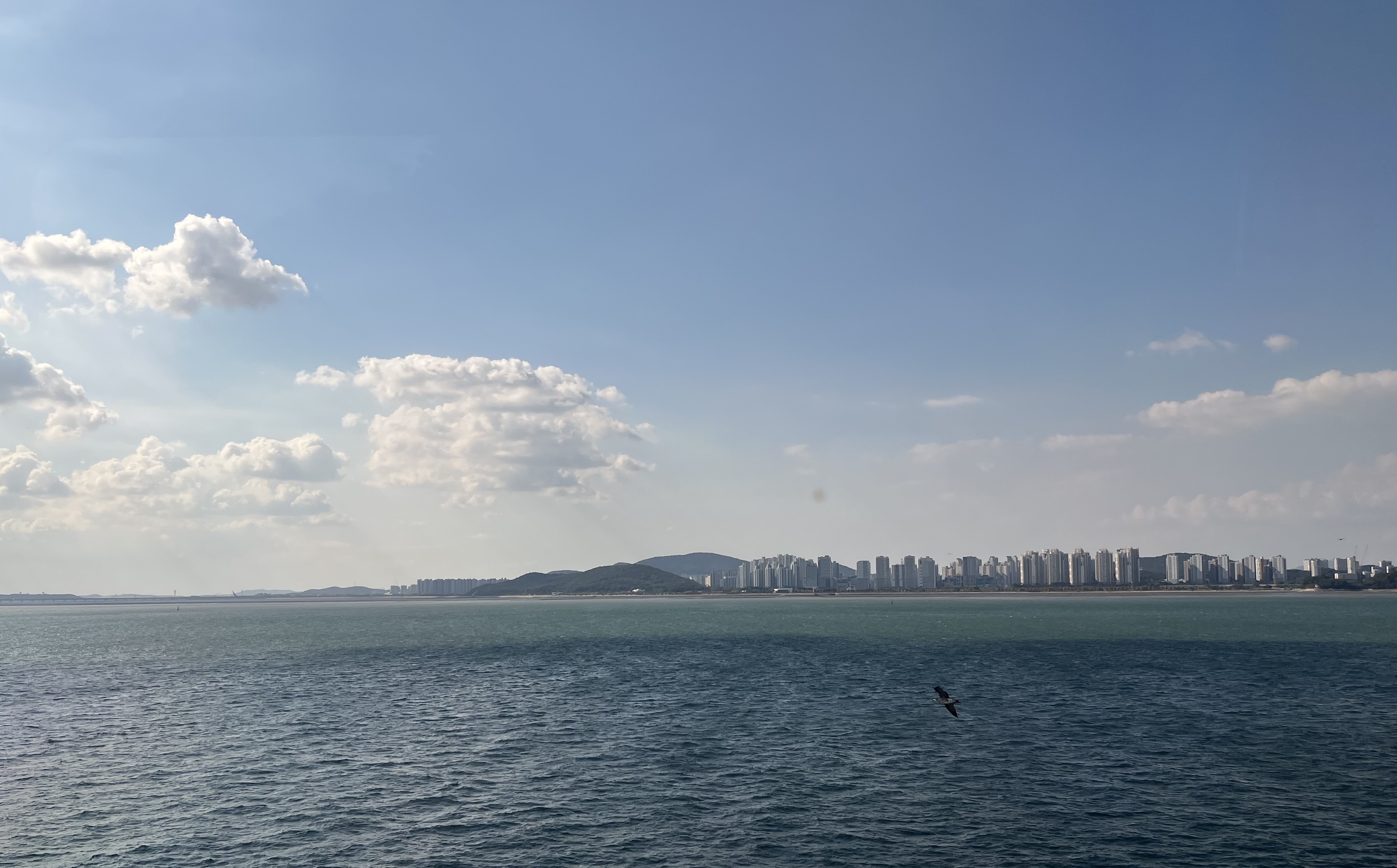 프로필사진