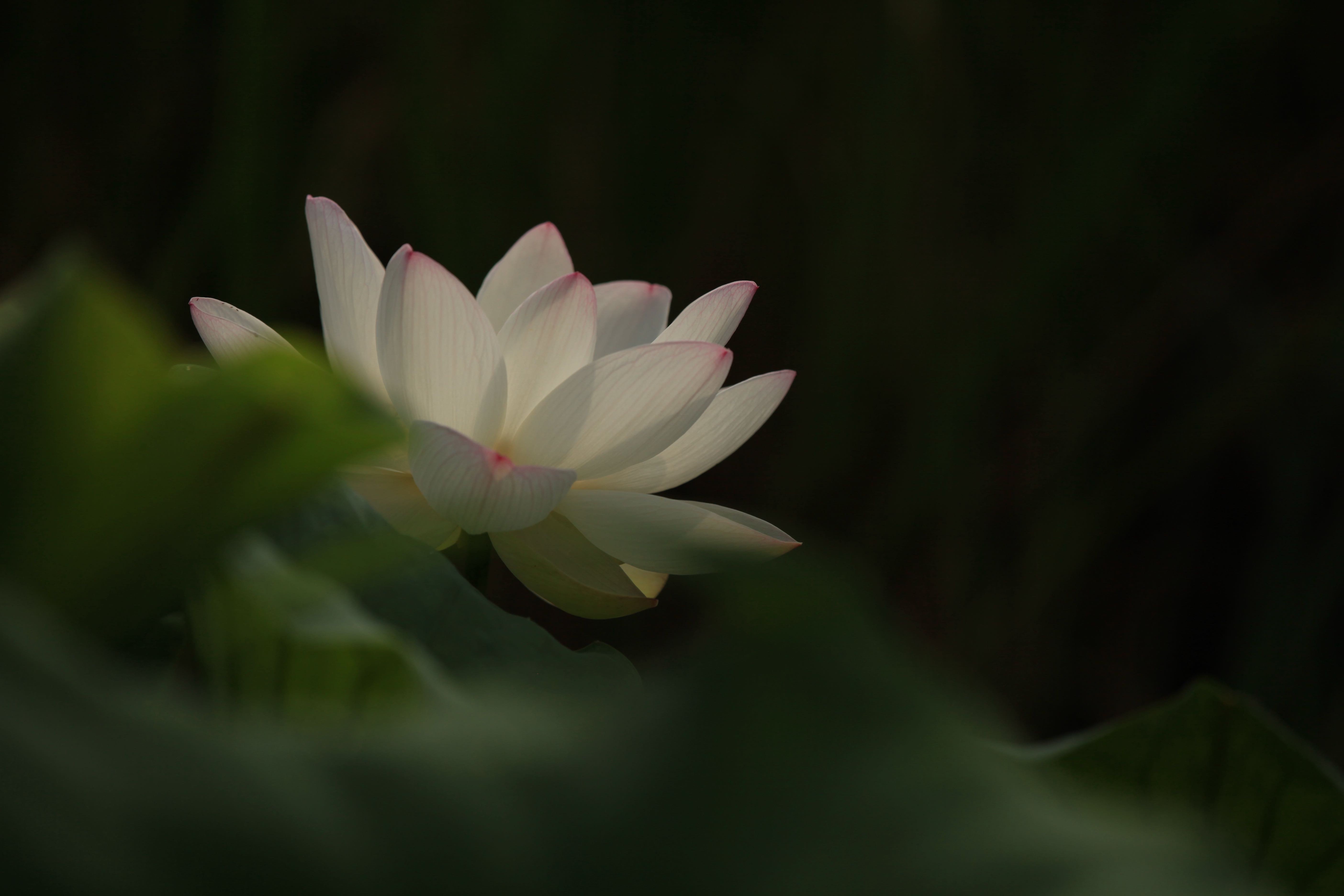 프로필사진
