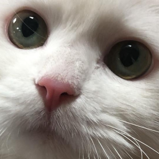 프로필사진